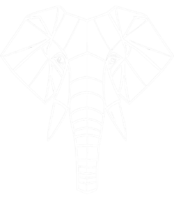 logo-white