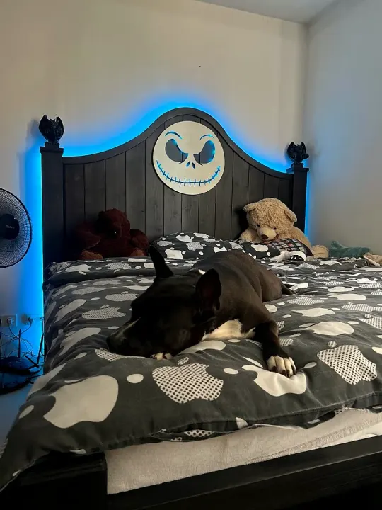 Postel na přání s motivem v čele